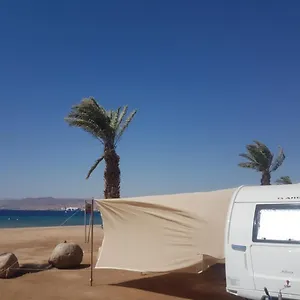 בדוק זמינות
